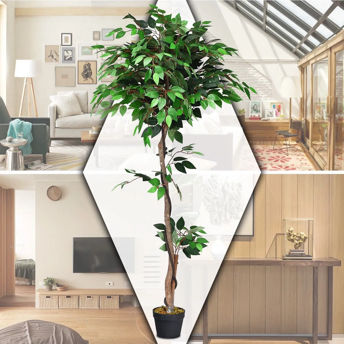 5.5 ft Artificial Ficus Silk Tree with Wood Trunks