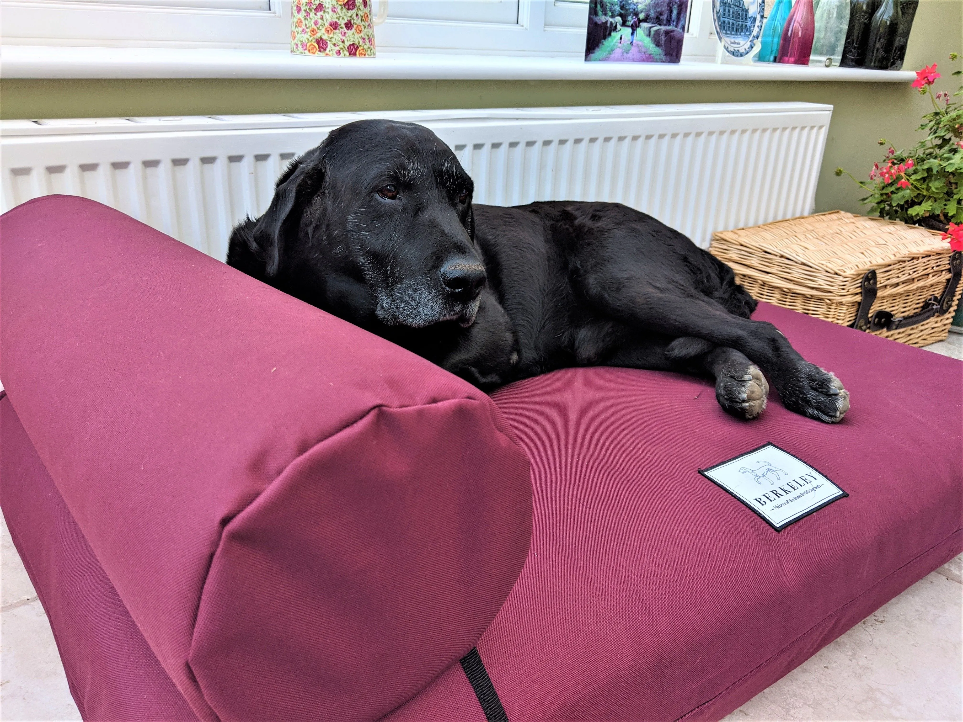 Berkeley Universal Dog Bed Bolster