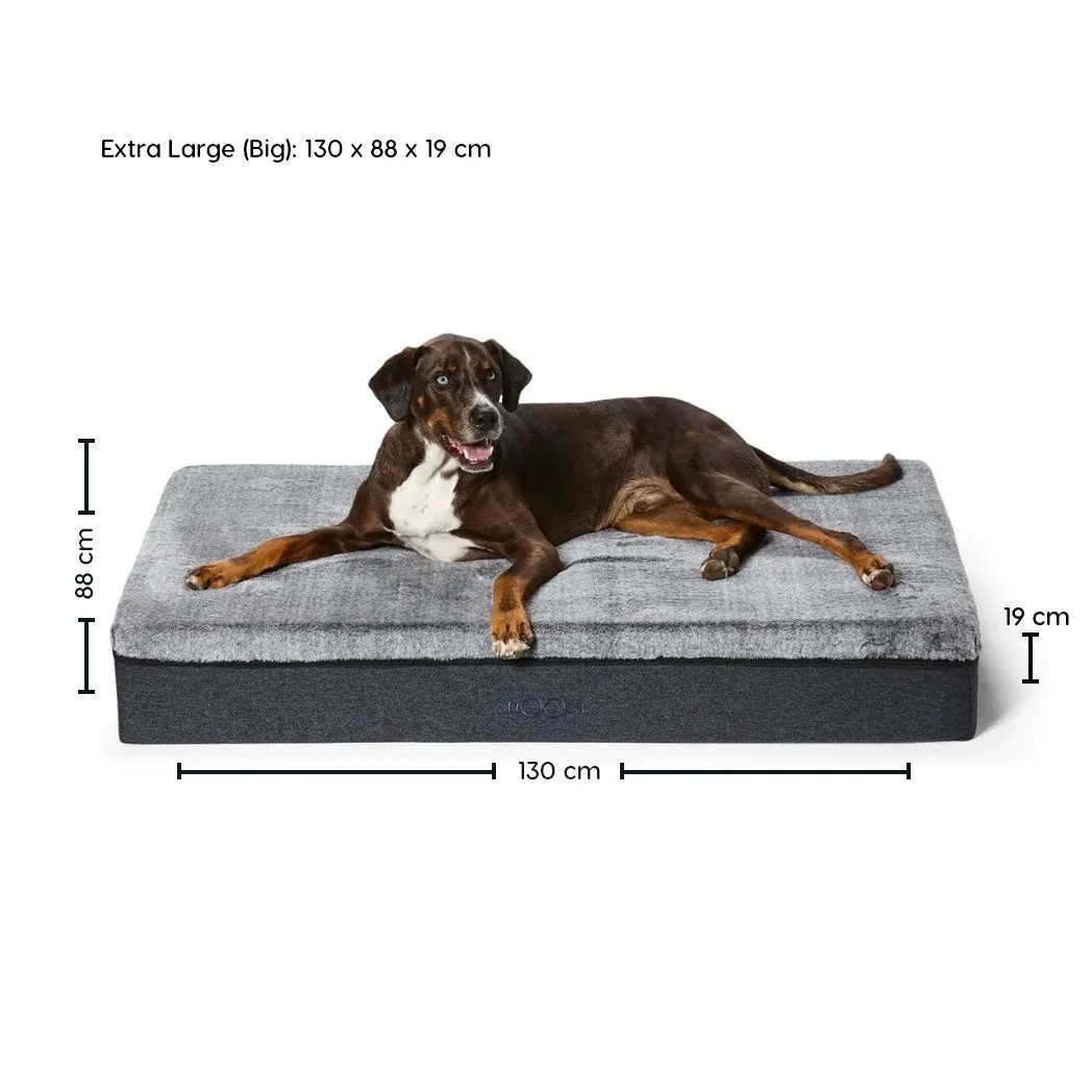 Big Dog Bed