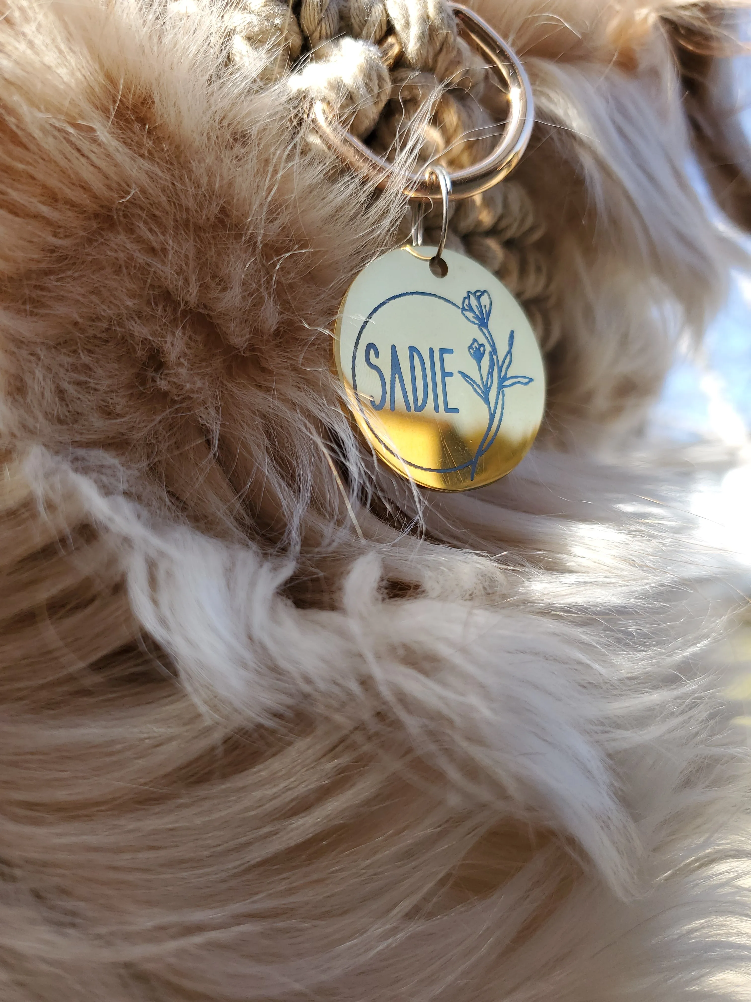 Black Pet ID Tag | Round Laser Engraved Dog Tag Stainless Steel