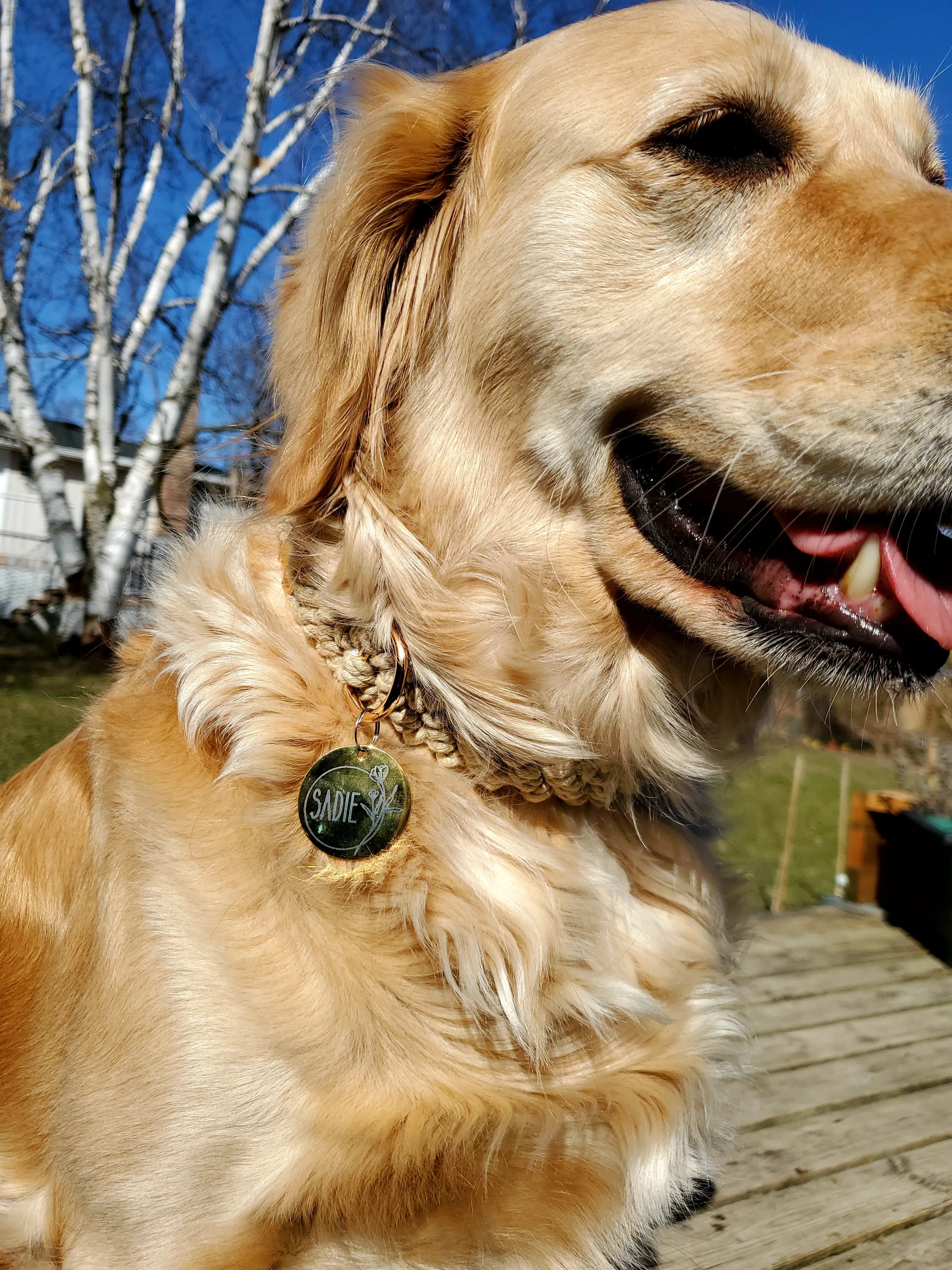 Black Pet ID Tag | Round Laser Engraved Dog Tag Stainless Steel