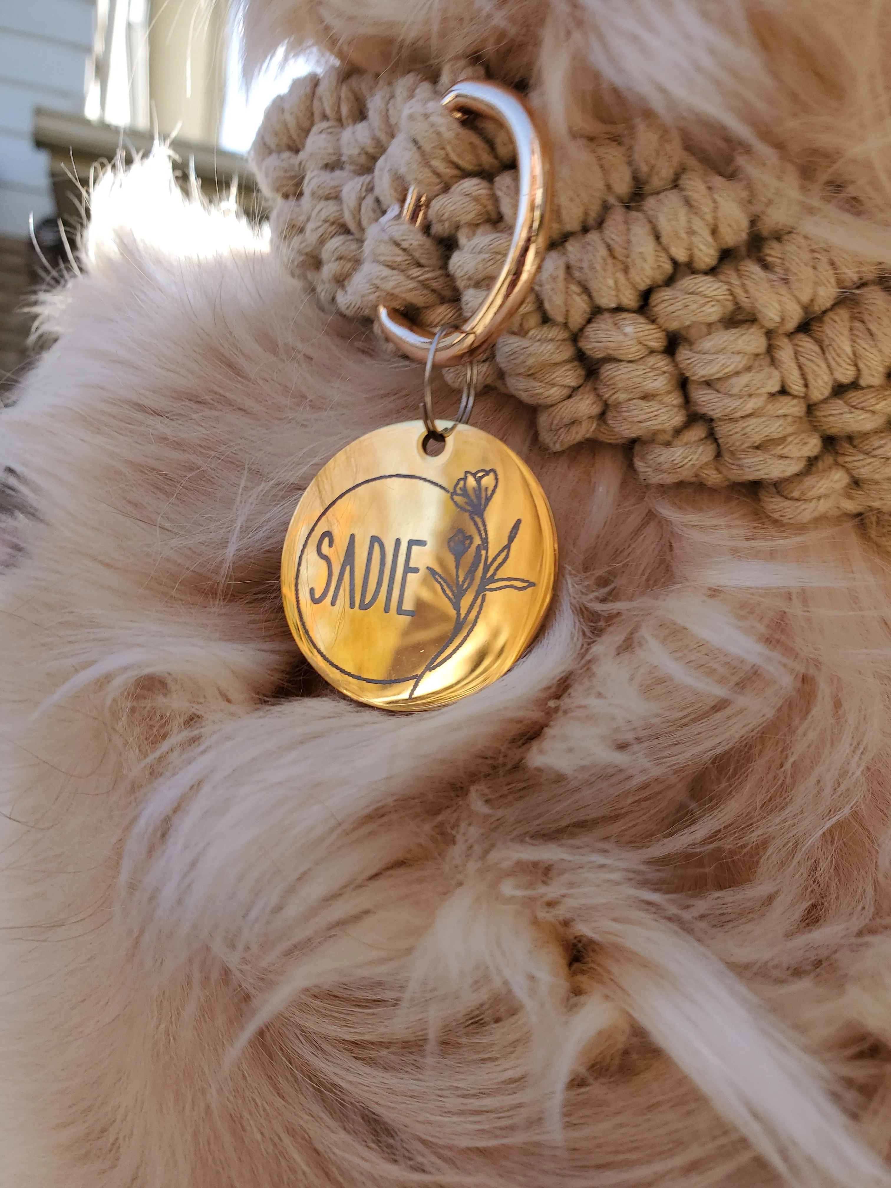 Blue Pet ID Tag | Round Laser Engraved Dog Tag Stainless Steel