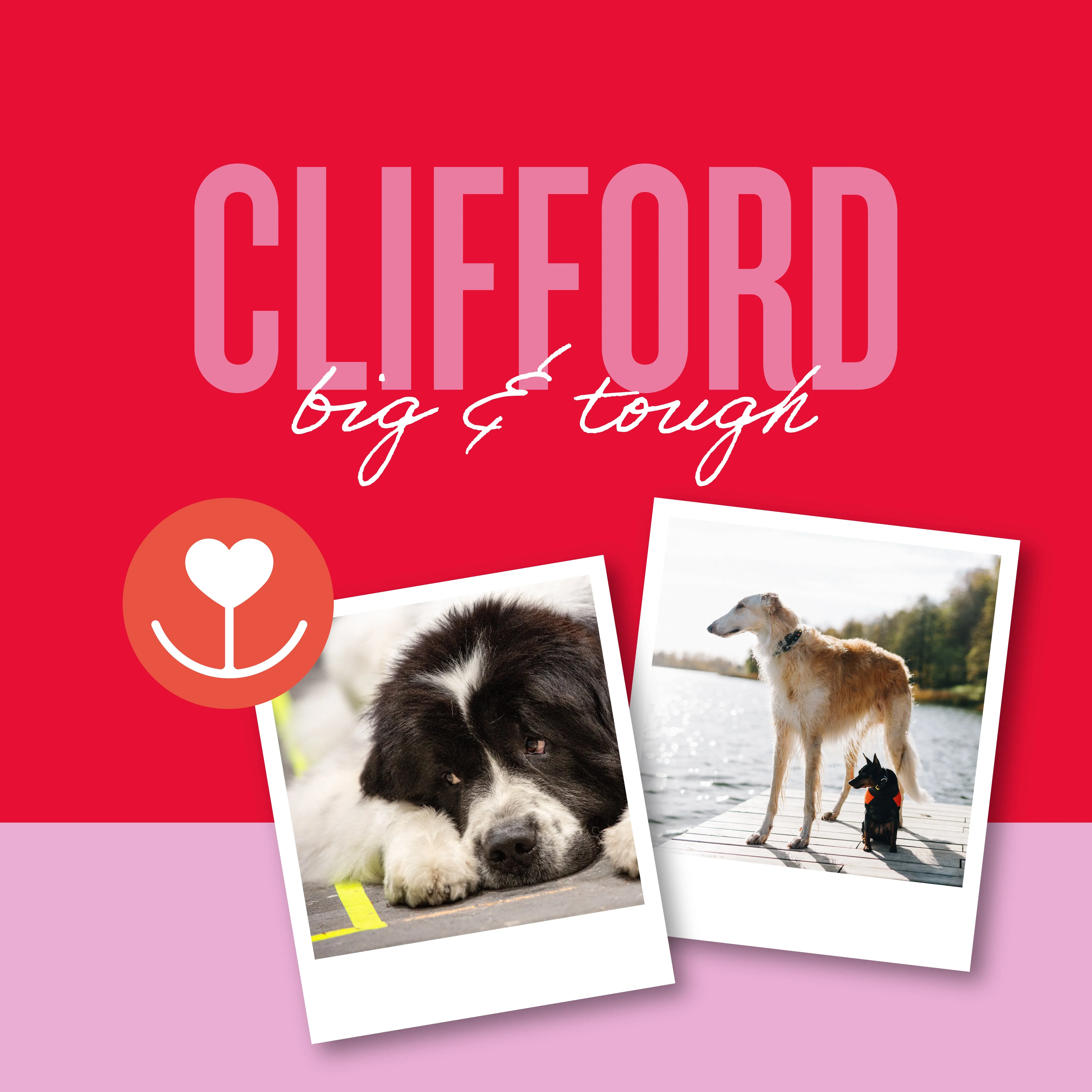 Clifford, Lucy Heart Personalized Pet Tag
