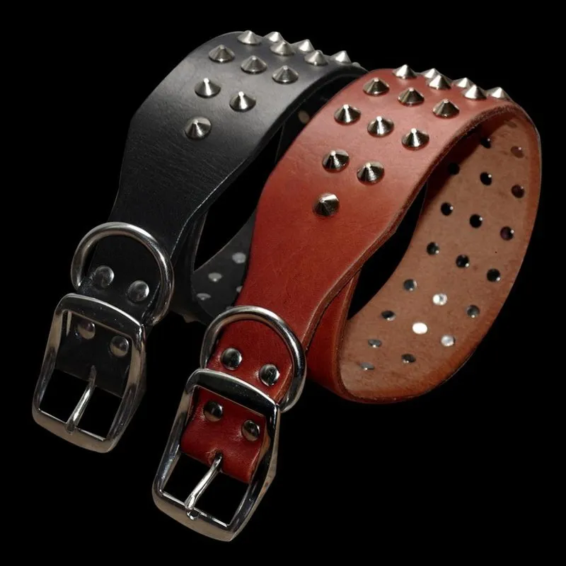 Cool Rivets Studded Collar Genuine Leather XS - L