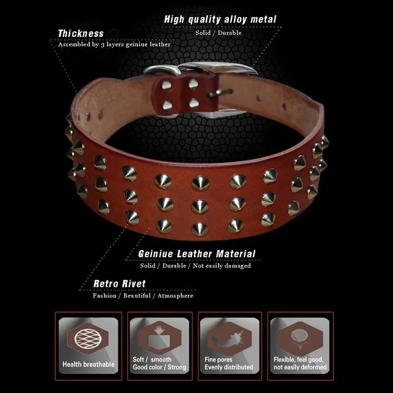 Cool Rivets Studded Collar Genuine Leather XS - L