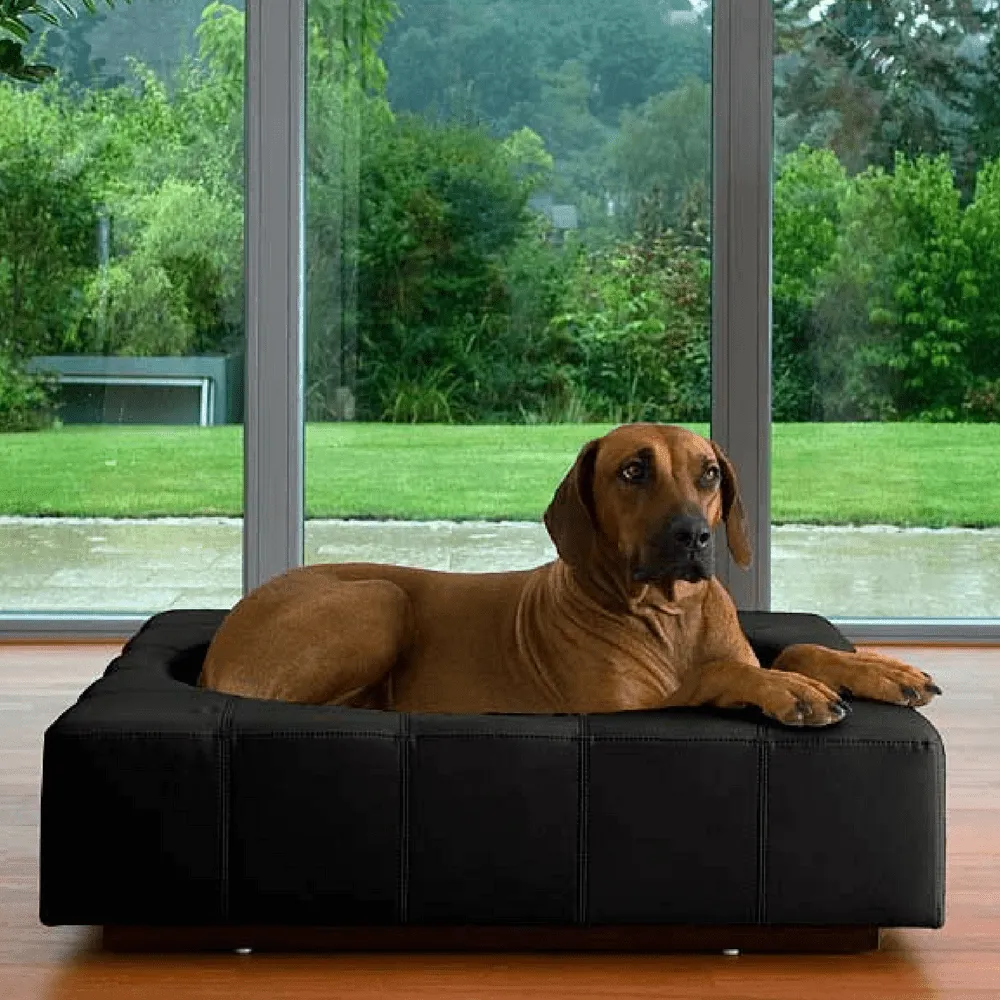 Cube Leather Luxury Dog Bed By Pet Interiors
