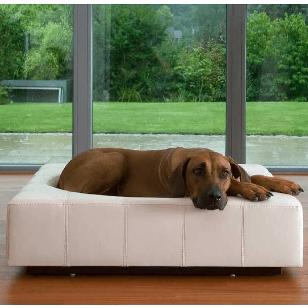 Cube Leather Luxury Dog Bed By Pet Interiors