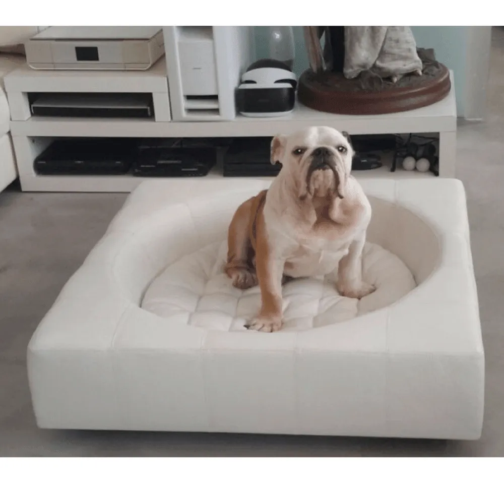 Cube Leather Luxury Dog Bed By Pet Interiors