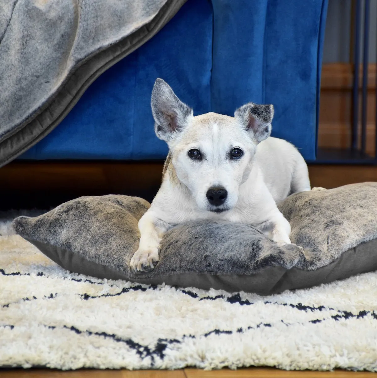 Dream Cushion - Faux Fur and Graphite Grey Velvet - With Shredded  Memory Foam Cushion
