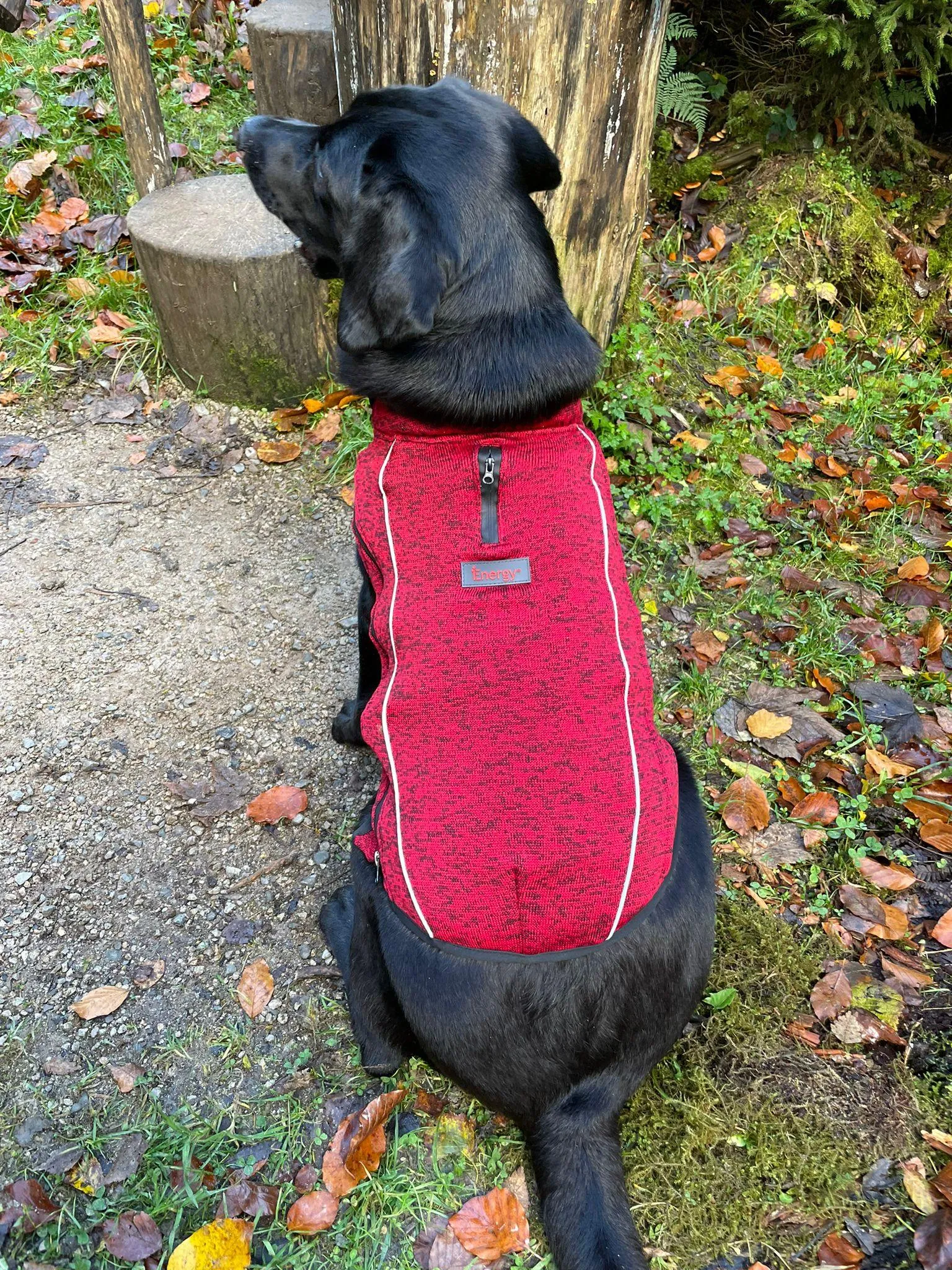 iEnergy OSC Dog Fleece