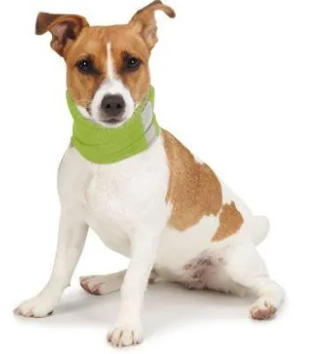 Insect Shield Dog Neck Gaiter