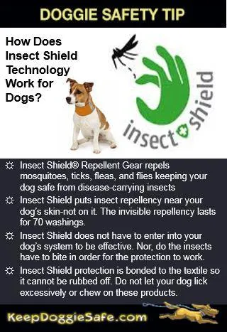 Insect Shield Dog Neck Gaiter