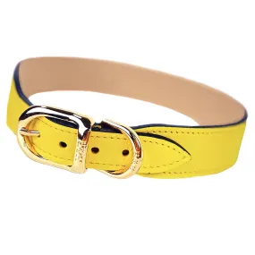 Italian Canary Yellow Leather Dog Collar in Gold