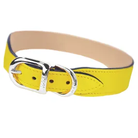 Italian Canary Yellow Leather Dog Collar in Nickel
