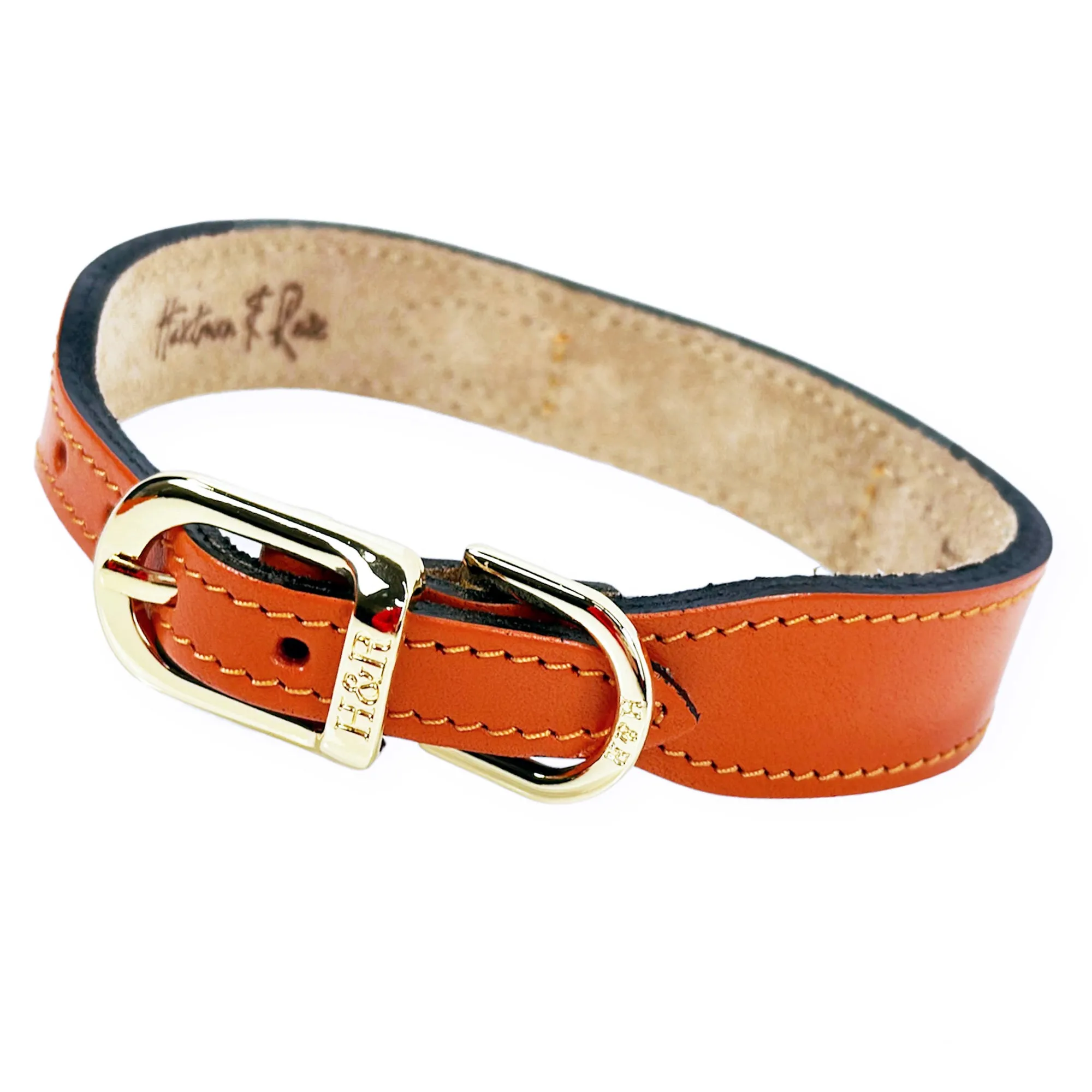 Italian Tangerine Leather Dog Collar in Gold