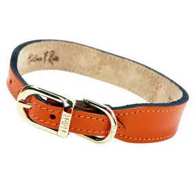 Italian Tangerine Leather Dog Collar in Gold