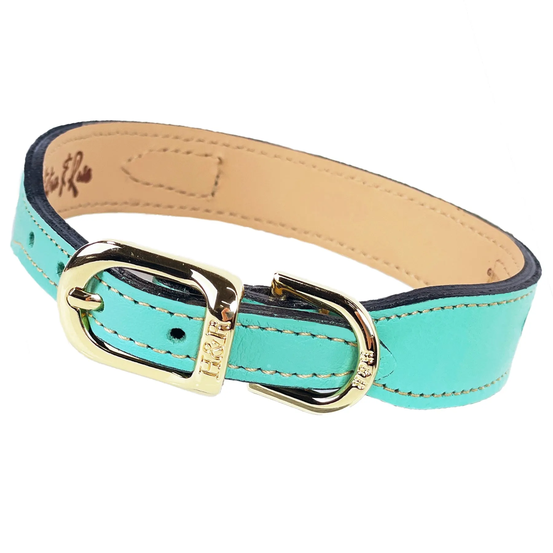 Italian Turquoise Leather Dog Collar in Gold