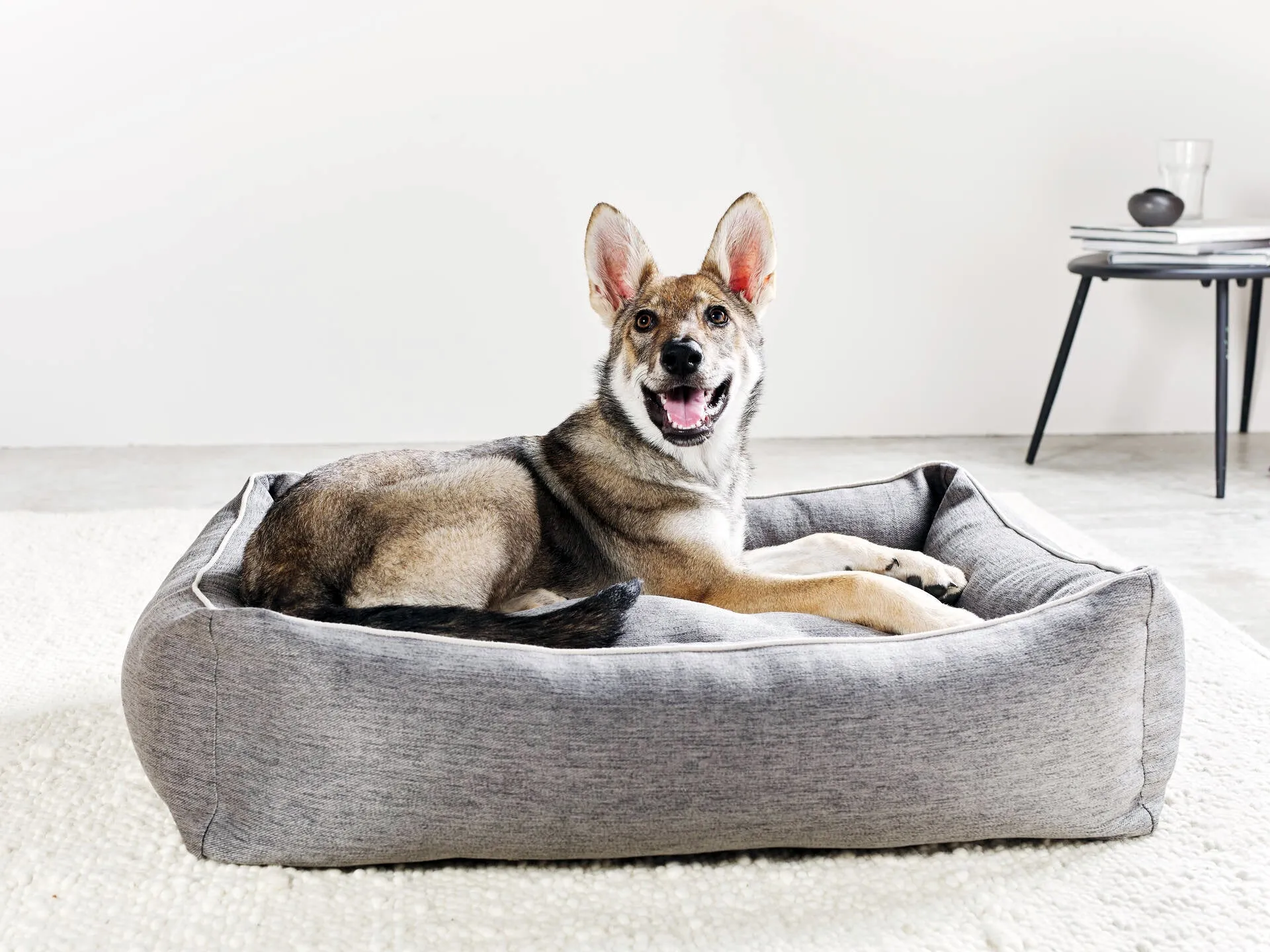 Laboni Orthopaedic Dog Bed Uno