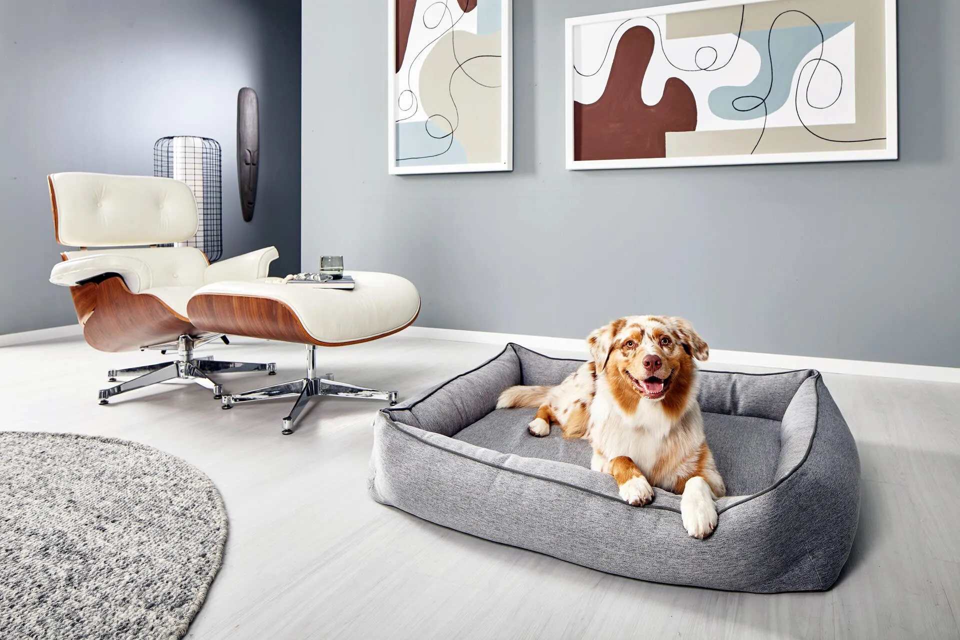 Laboni Orthopaedic Dog Bed Uno