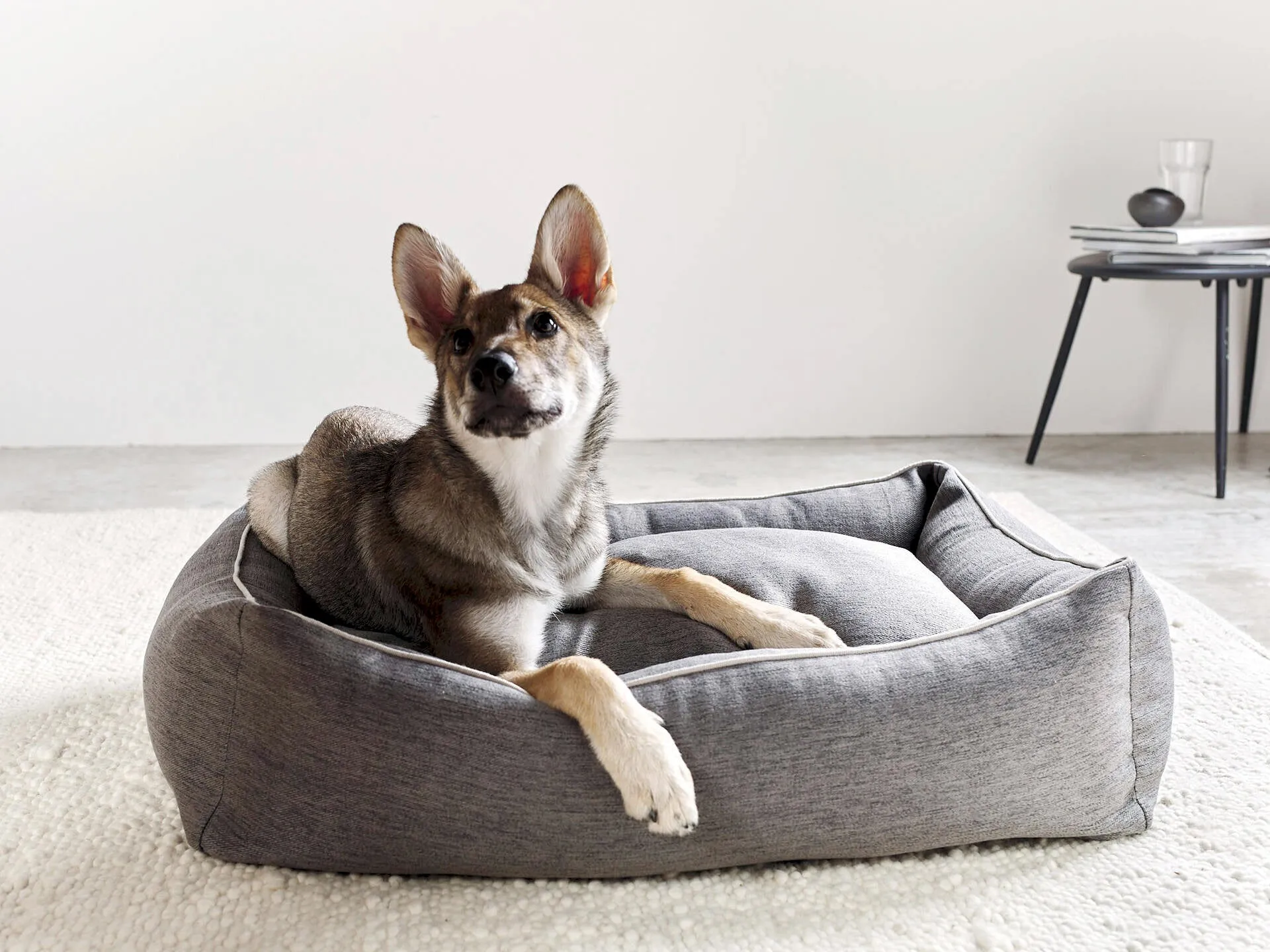Laboni Orthopaedic Dog Bed Uno