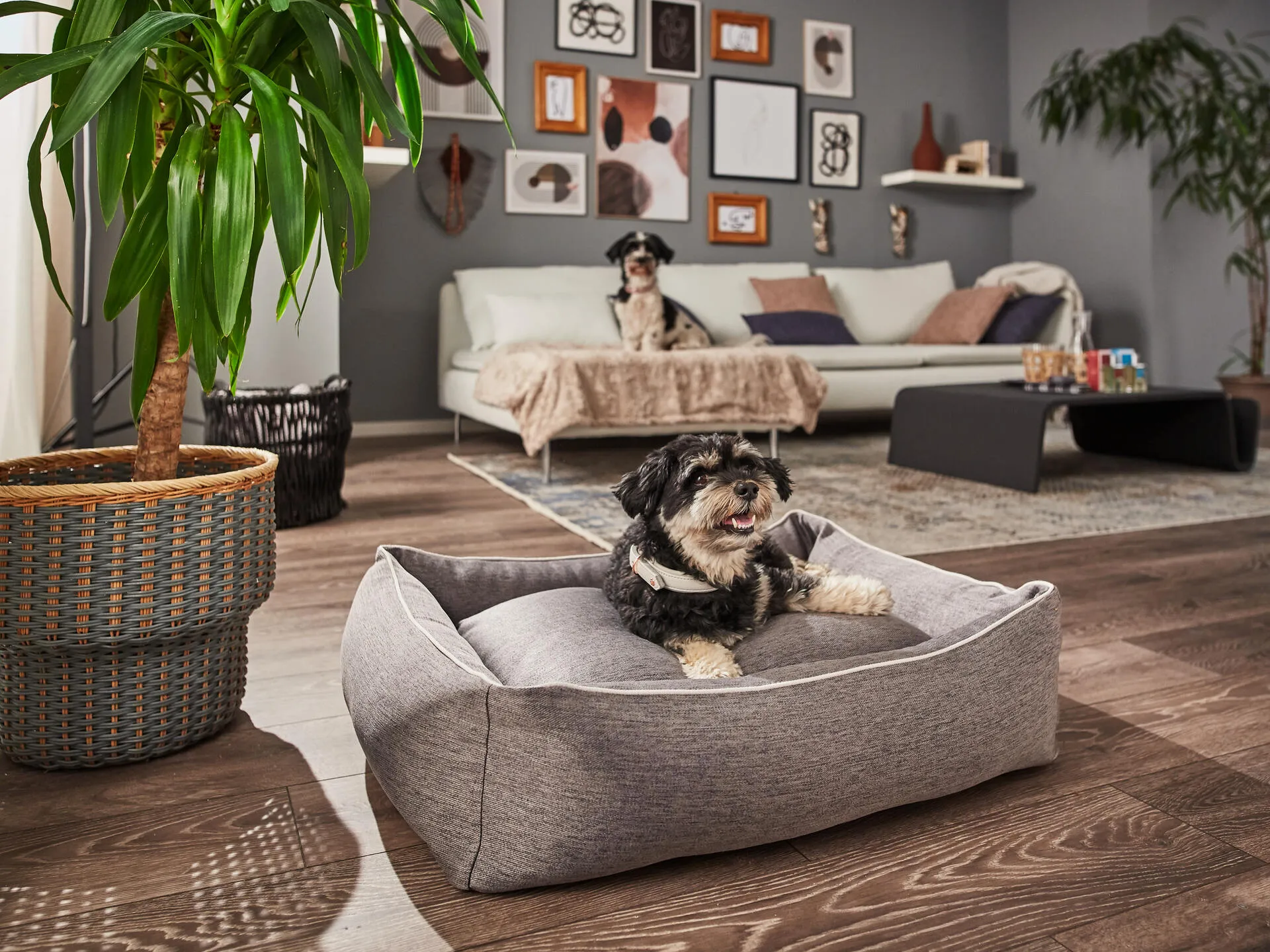 Laboni Orthopaedic Dog Bed Uno