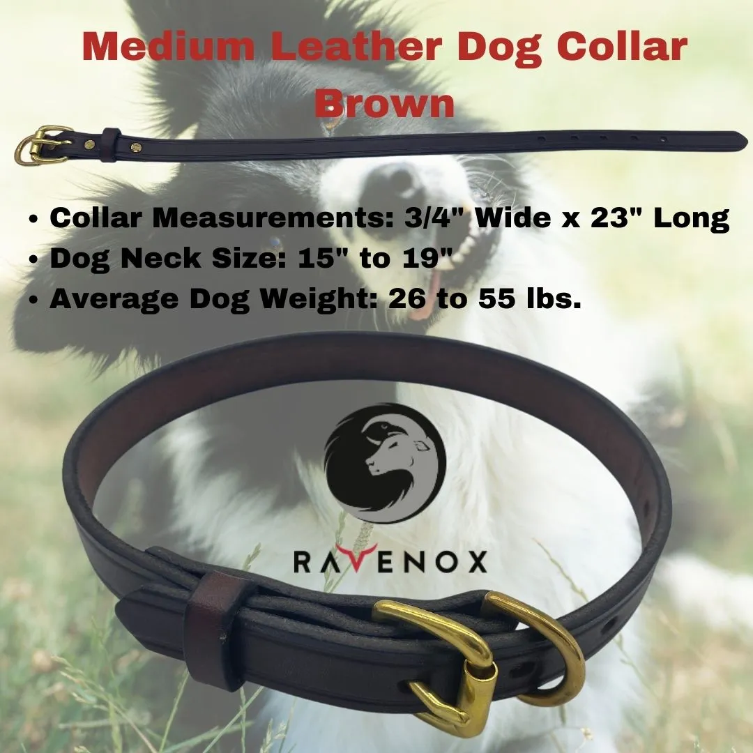 Leather Dog Collars