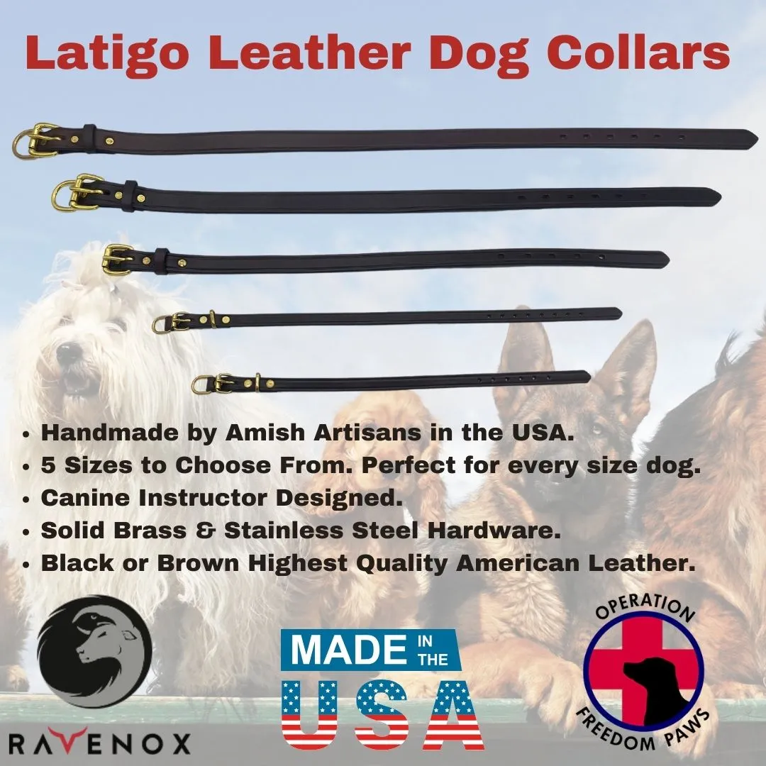 Leather Dog Collars