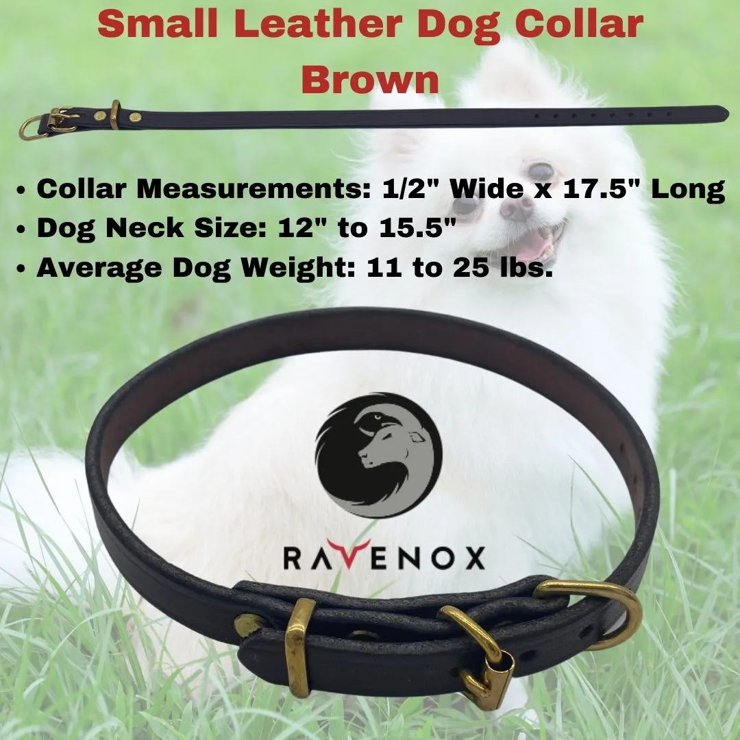 Leather Dog Collars