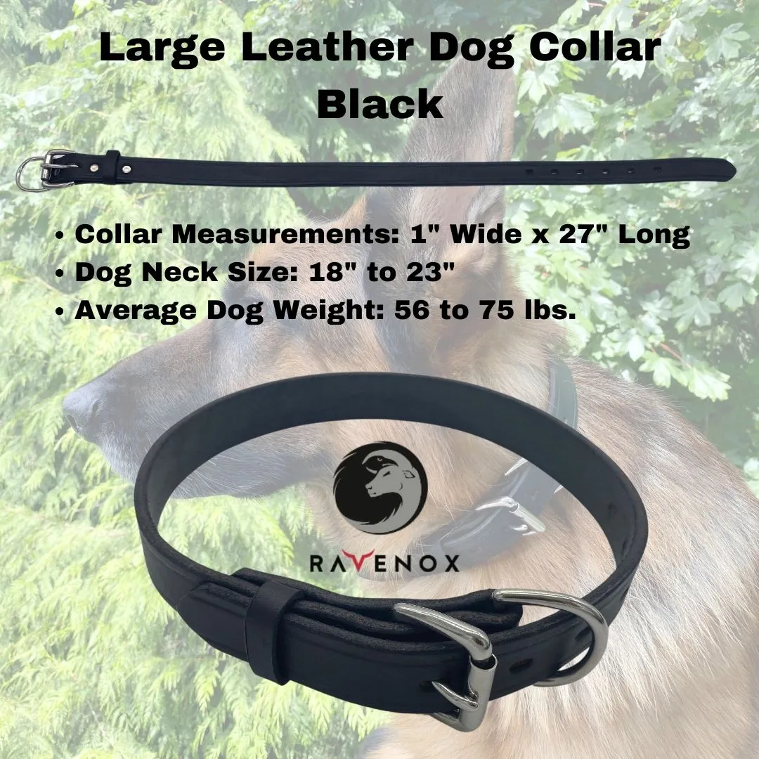Leather Dog Collars