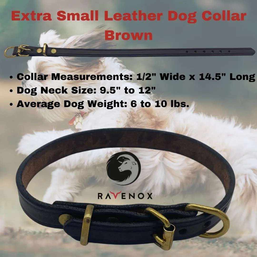 Leather Dog Collars