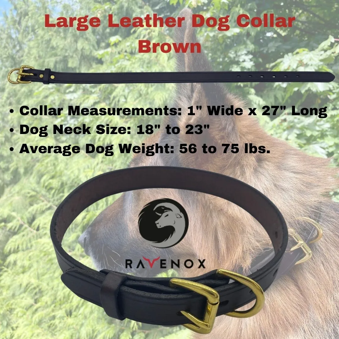 Leather Dog Collars
