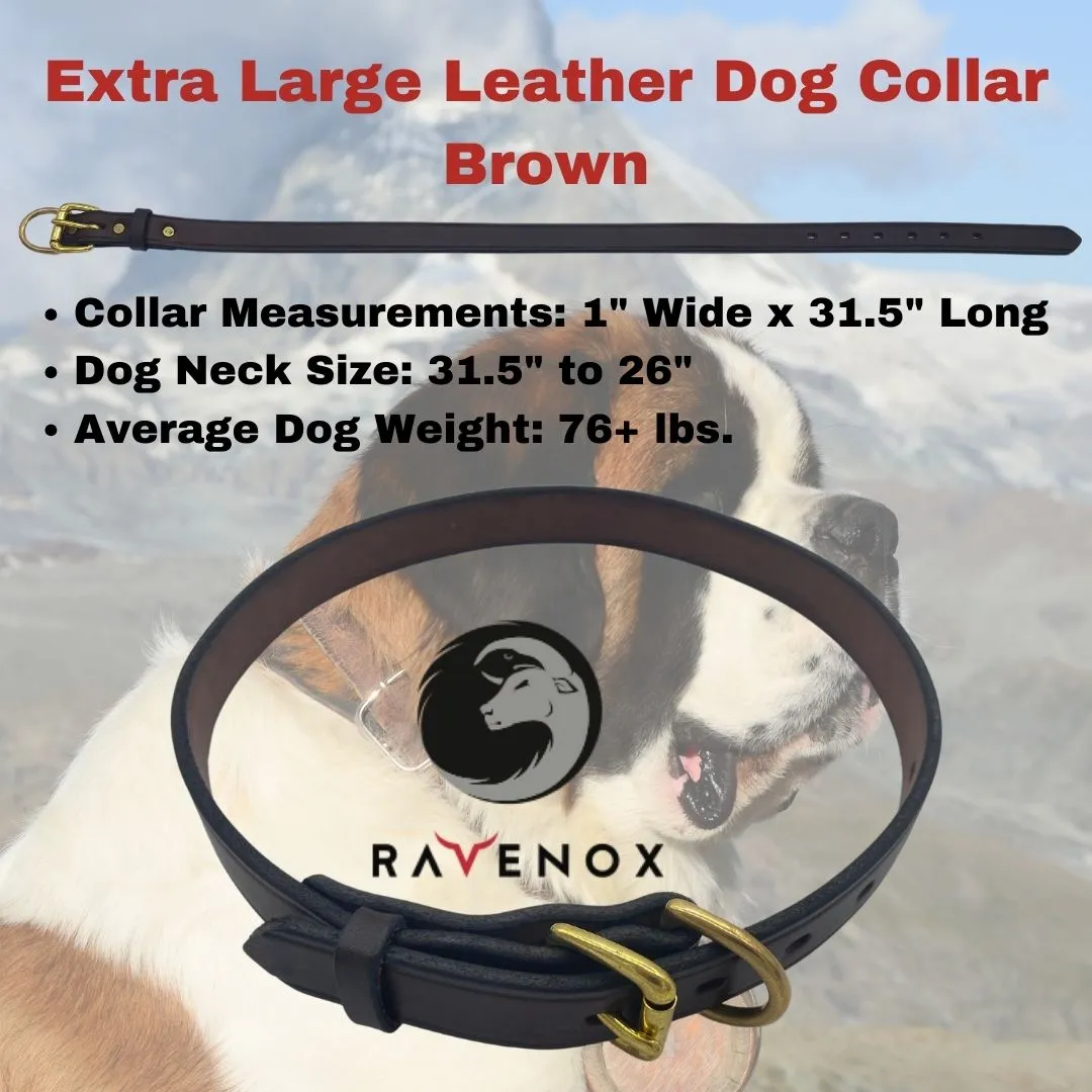 Leather Dog Collars