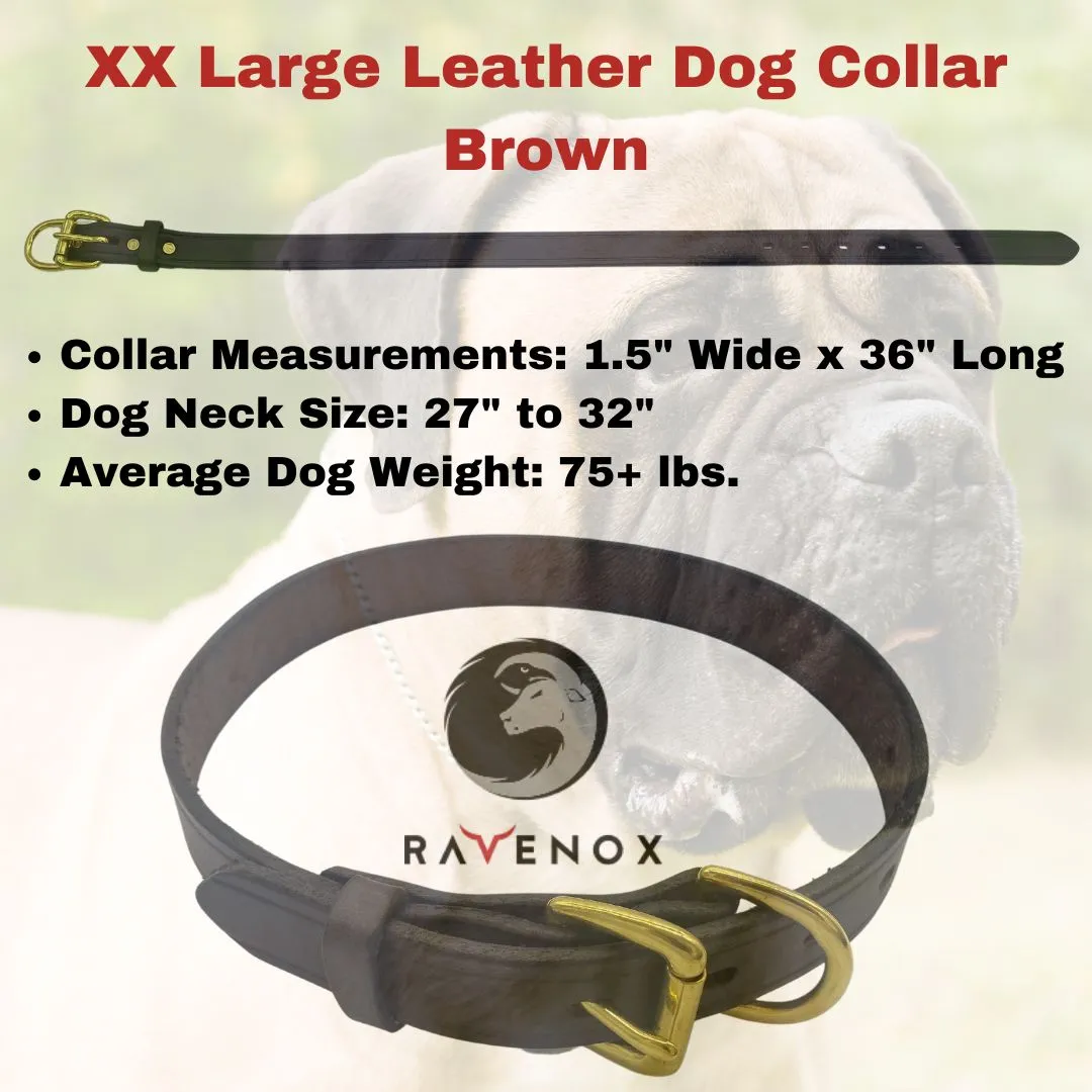 Leather Dog Collars
