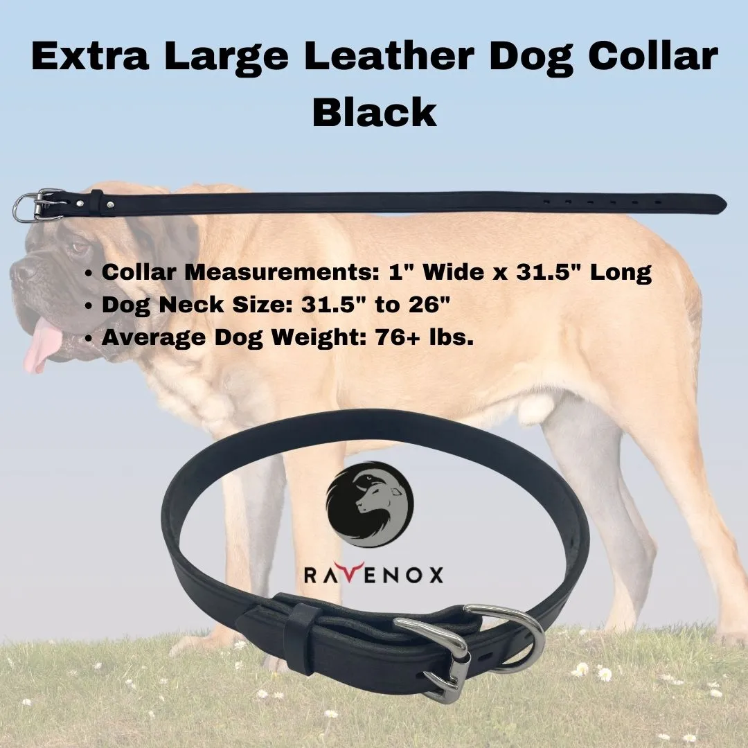 Leather Dog Collars