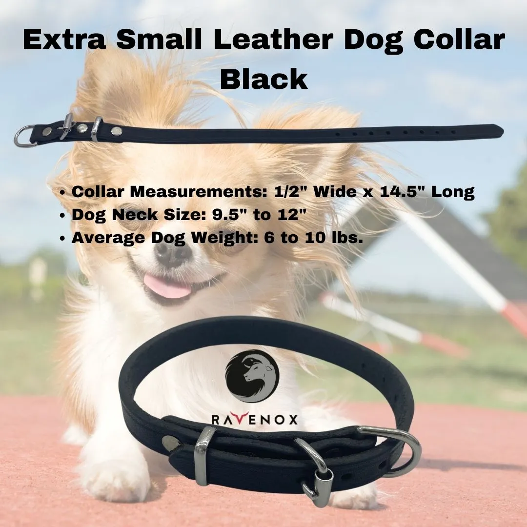 Leather Dog Collars
