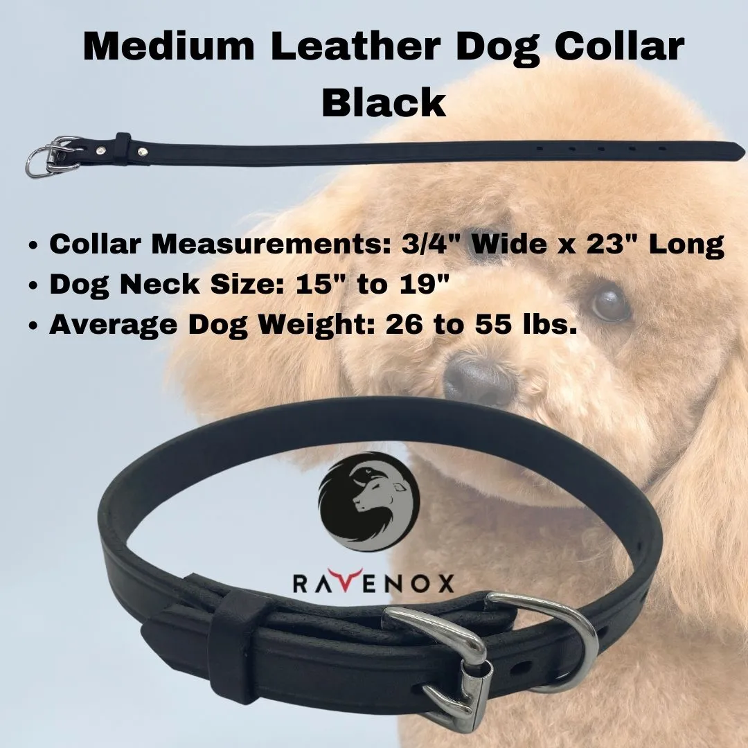 Leather Dog Collars