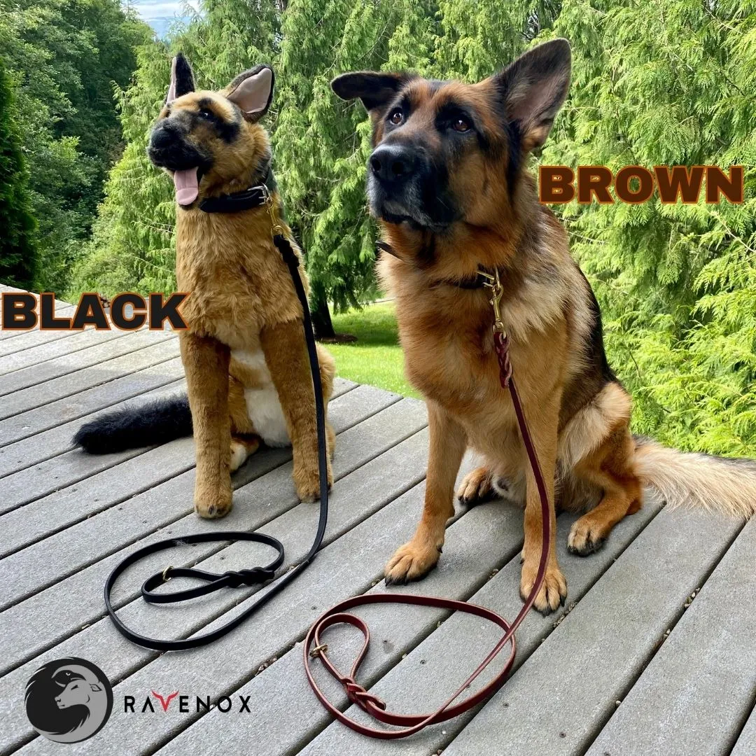 Leather Dog Collars