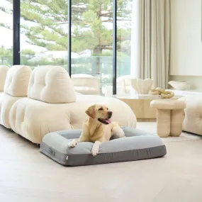 Memory Foam Dog Bed - Plush Grey
