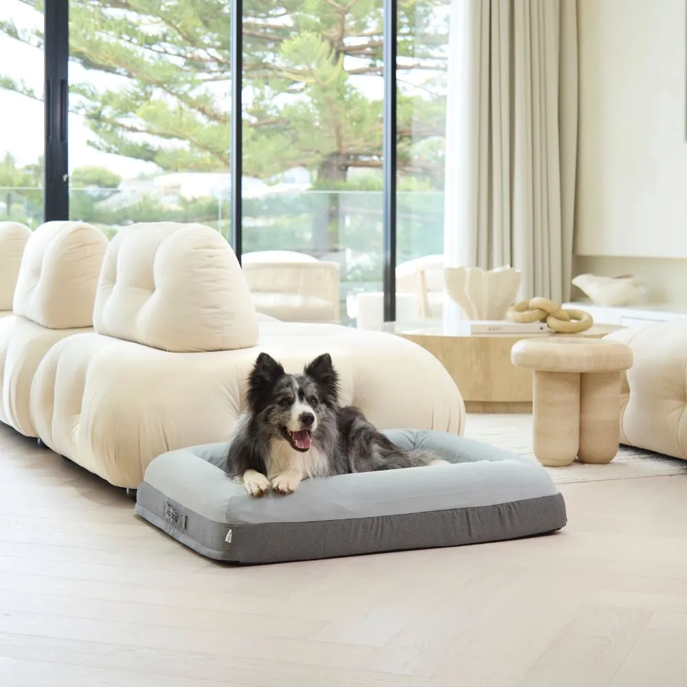 Memory Foam Dog Bed - Plush Grey