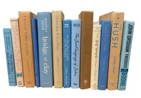 Modern Ocean Breeze Book Mix | Books by the Foot | Sand, Sky Blue, Aquamarine | Designer Decor