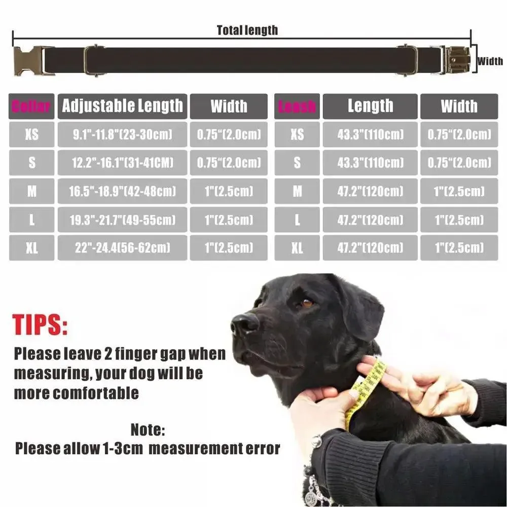 Nylon Dog Collar Set: Personalized Engraving & Free Leash - Safety & Style Combo