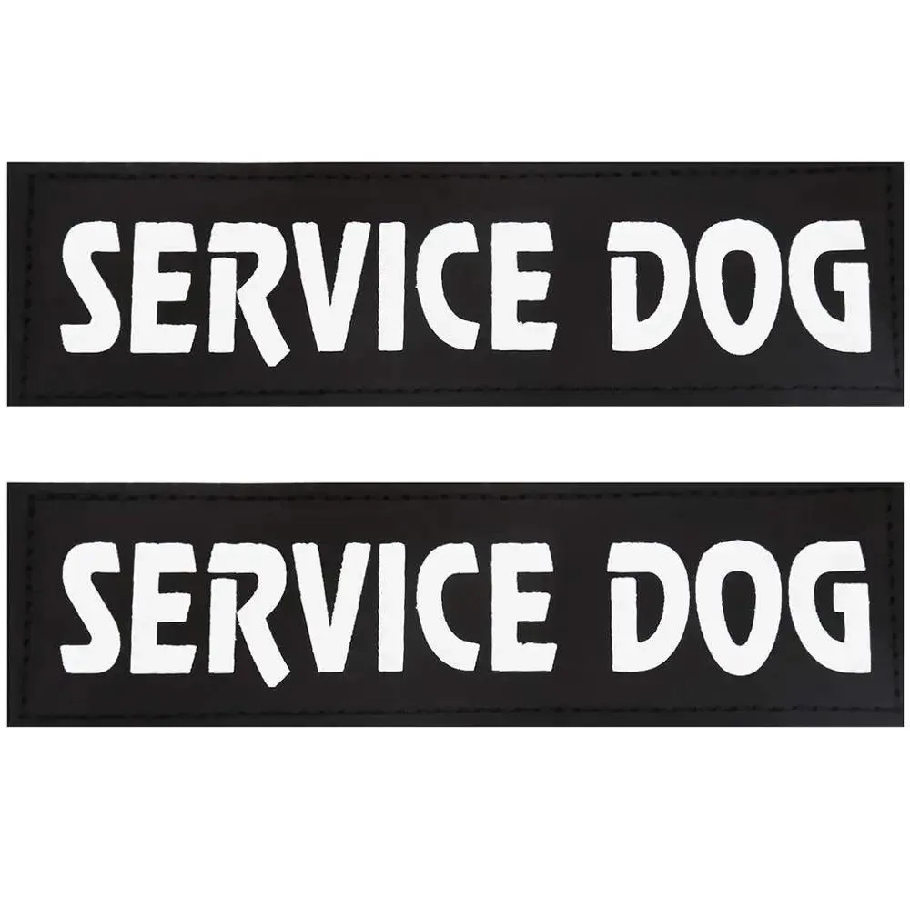 Personalized Leather Dog ID Tags: Stylish Safety & Fashion