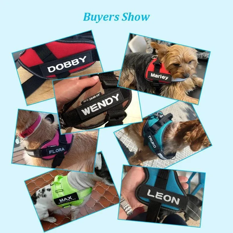 Personalized Leather Dog ID Tags: Stylish Safety & Fashion
