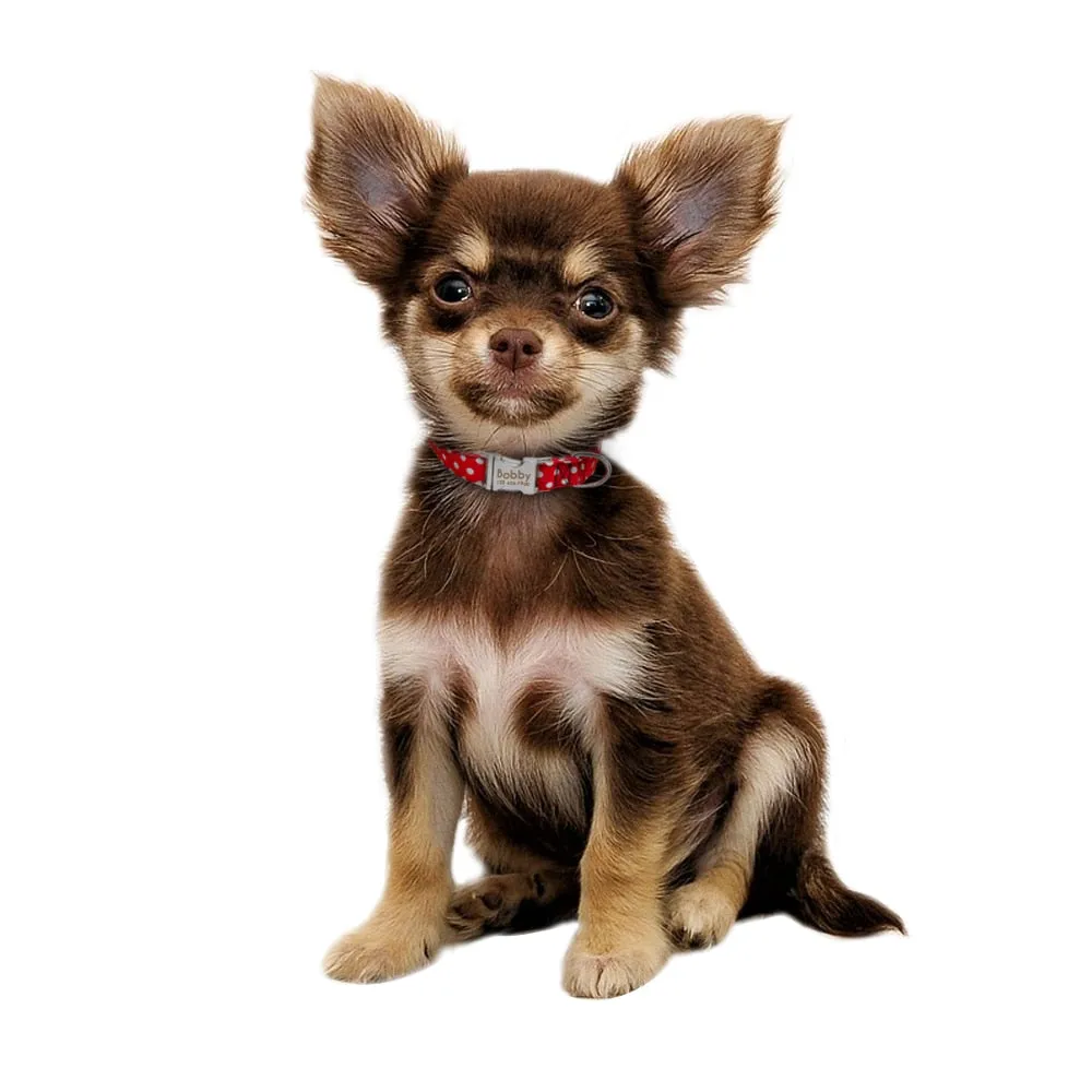 Personazlied Dog Collar Customized Pet Collar Nylon Anti-lost Nameplate Tags Engraved Collar