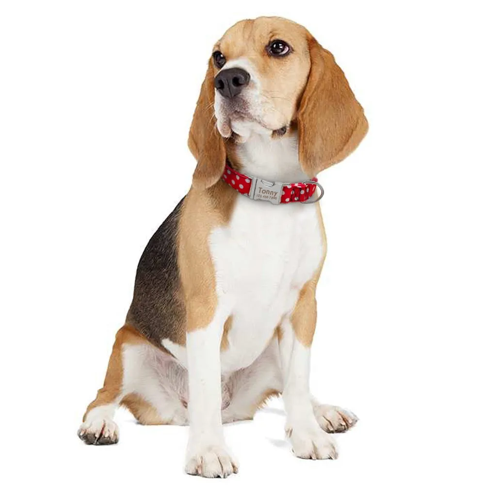 Personazlied Dog Collar Customized Pet Collar Nylon Anti-lost Nameplate Tags Engraved Collar