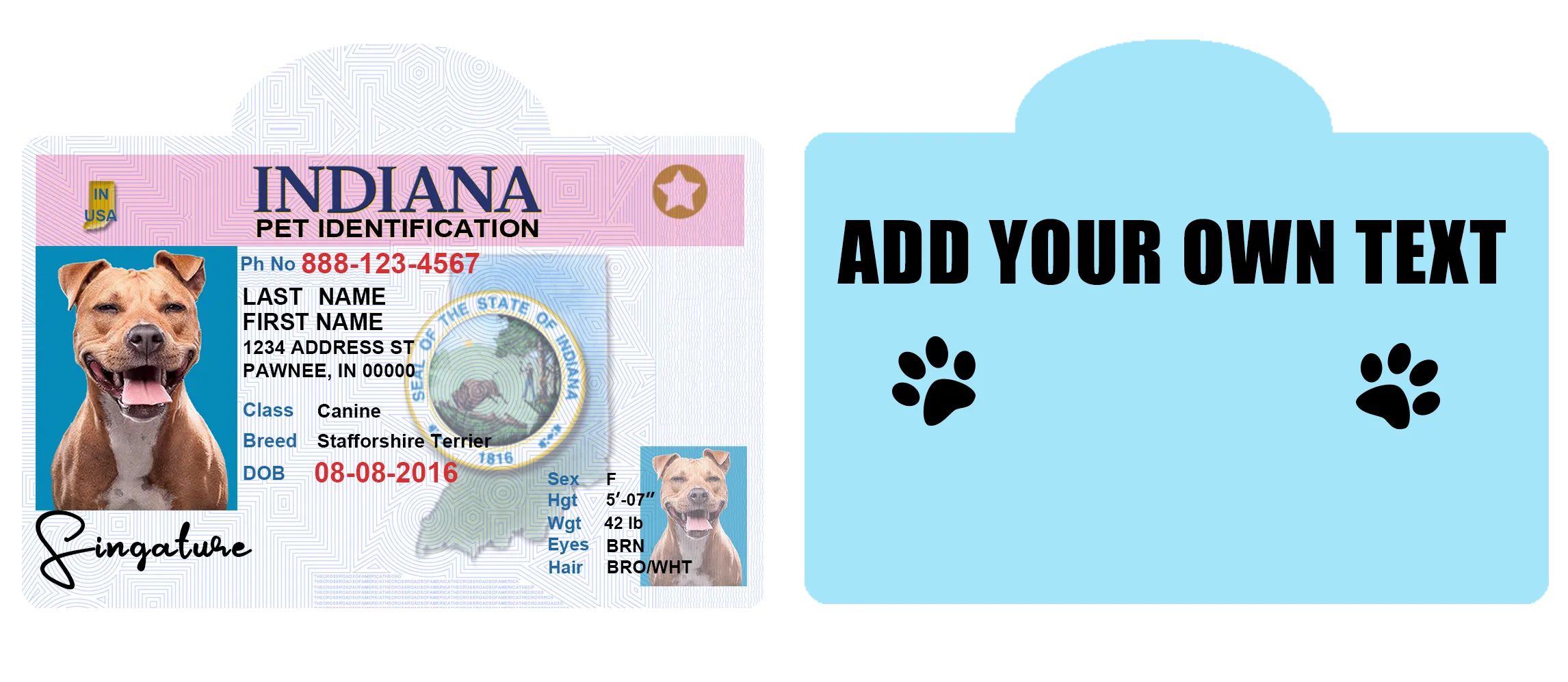 Pet ID Tag Personalized with your state