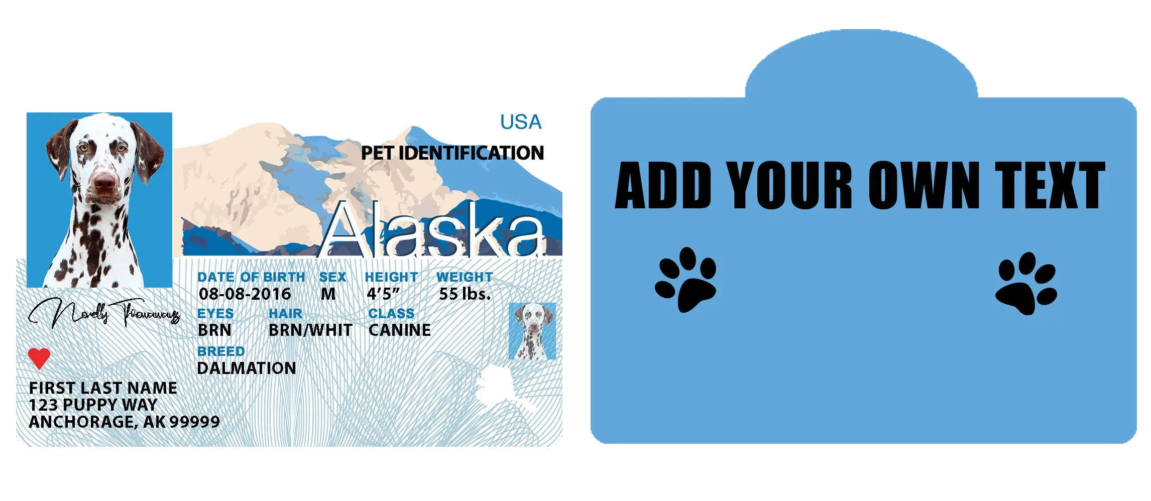 Pet ID Tag Personalized with your state