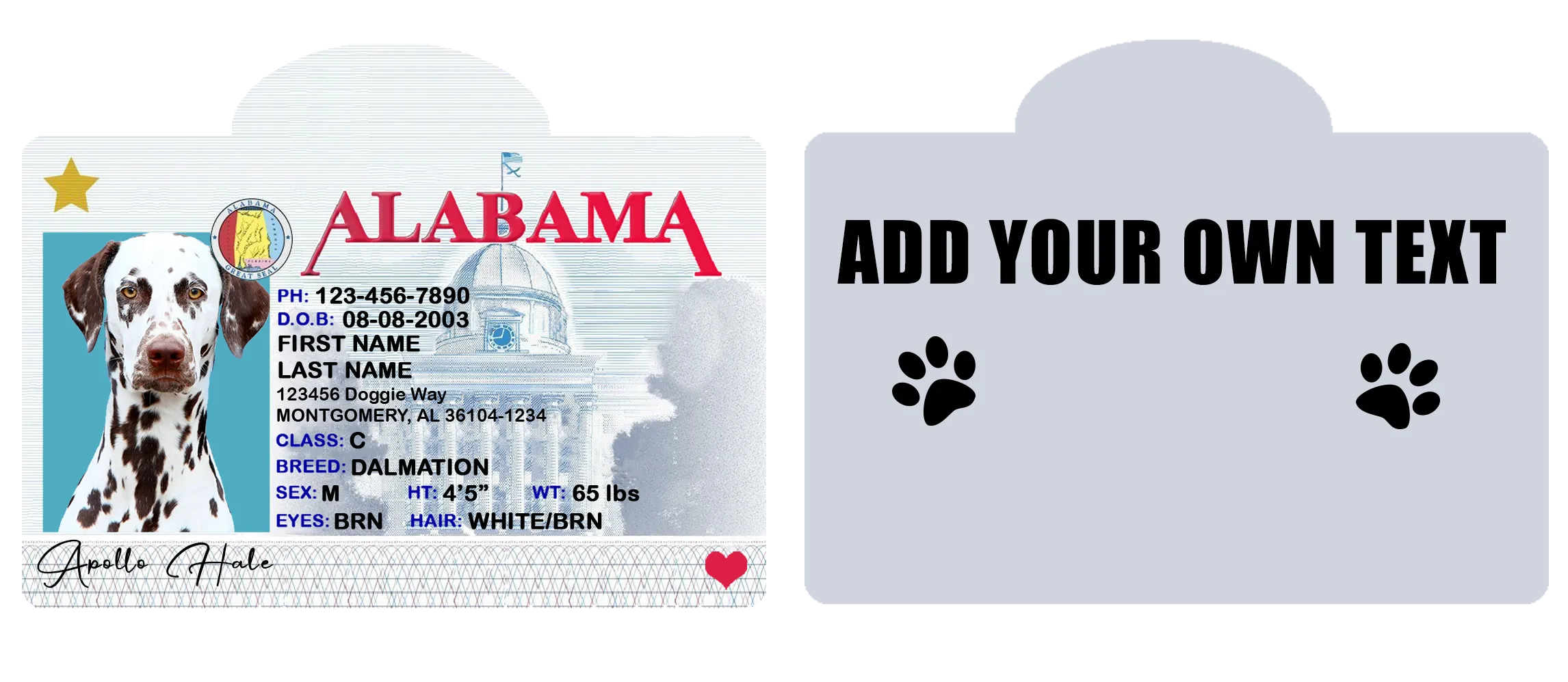 Pet ID Tag Personalized with your state