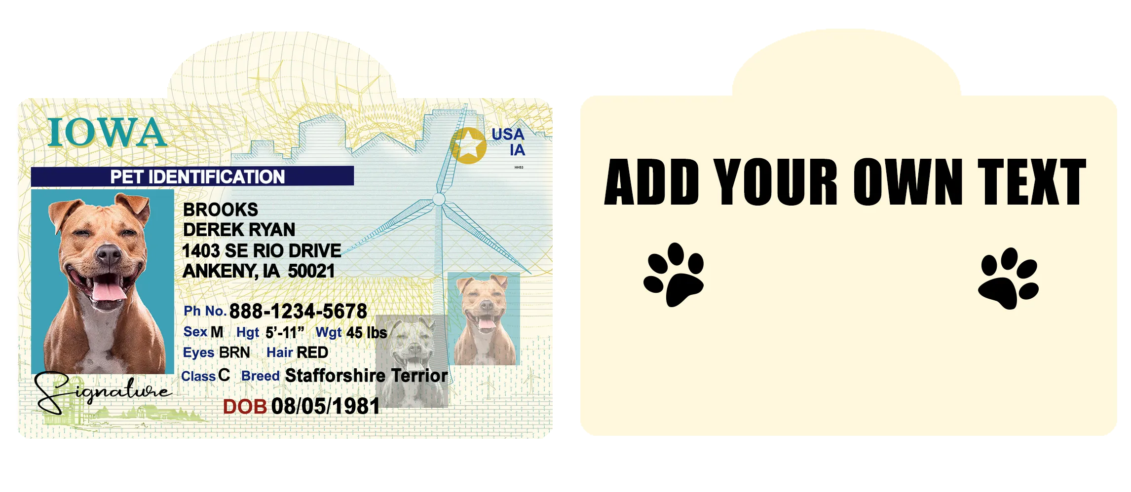 Pet ID Tag Personalized with your state
