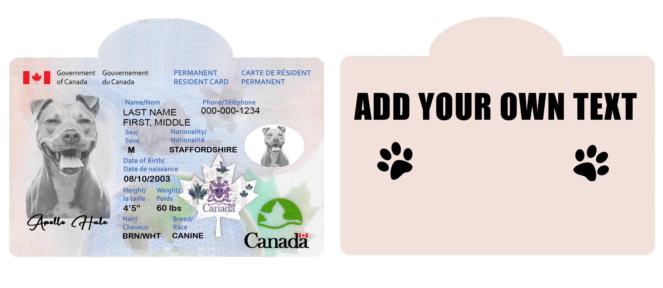 Pet ID Tag Personalized with your state